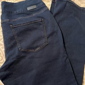 Size 20 Pull-on Jagjeans High rise slim leg